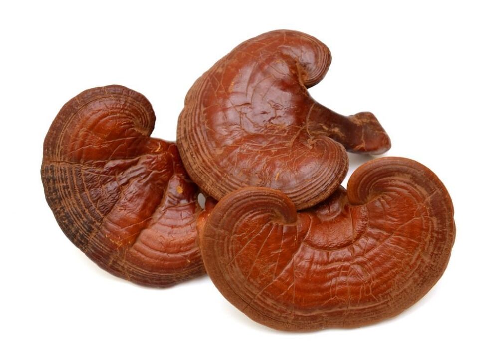 Weiprost enthält Reishi Champignonen